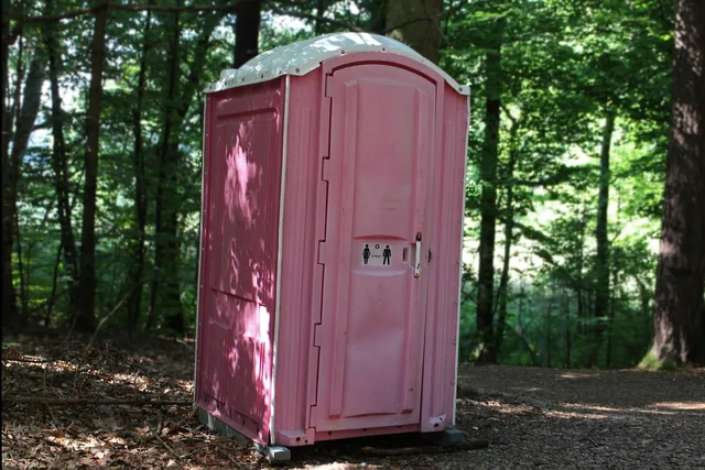 toilet, sanitary, setup, toilet cubicle, wc, loo, dixi, toi toi, public, forest, nature, pink, toilet, toilet, toilet, toilet, toilet. GST/HST on Portable Restroom Rentals: What Canadian Fleets Charge