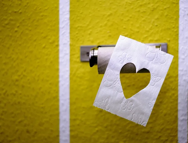 toilet paper, role, hygiene, empty, nature, leaf, heart, last, to you, toilet roll holder, toilet paper holder, roll holder, toilet, wall. Portable restroom rental local SEO checklist