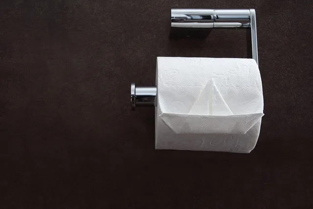 toilet tissue, loo paper, toilet paper, hygiene, toilet, roll, wc, tissue, restroom, sanitary, soft, wipe, lavatory, toilet paper, toilet paper, toilet paper, toilet paper, toilet paper, restroom. What inspectors look for in a portable restroom fleet in Seattle and the Pacific Northwest