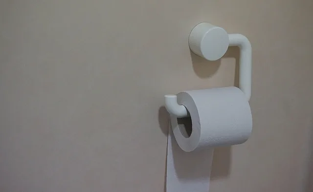 paper, tissue, roll, tissue holder, toilet, wall, gray paper, gray wall, gray toilet, toilet, toilet, toilet, toilet, toilet. Portable Restroom Pumping Frequency: Weekly vs Event-Based Routes