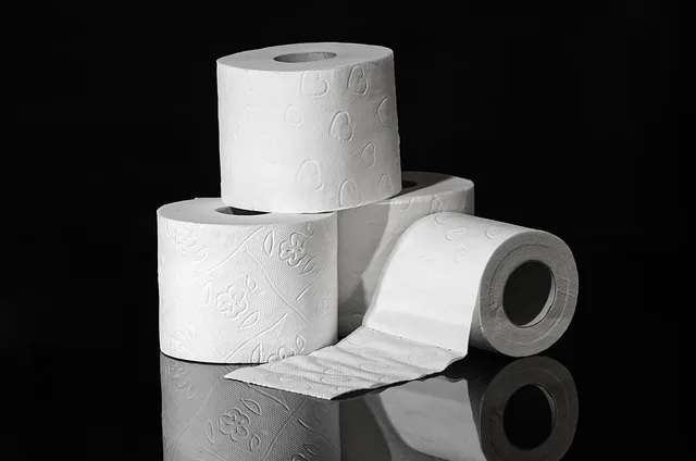 toilet paper, hygiene, role, wc, paper roll, roll, toilet paper, toilet paper, toilet paper, toilet paper, toilet paper. How to build a portable restroom rental bid response for municipal RFPs