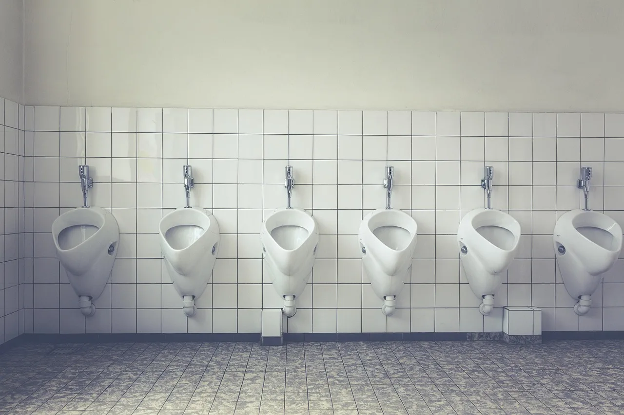 toilet, loo, wc, public toilet, toilet cubicle, public, urinal, man toilet, plumbing, old toilet, man, toilet, toilet, toilet, toilet, toilet. Portable restroom rental business plan contents explained