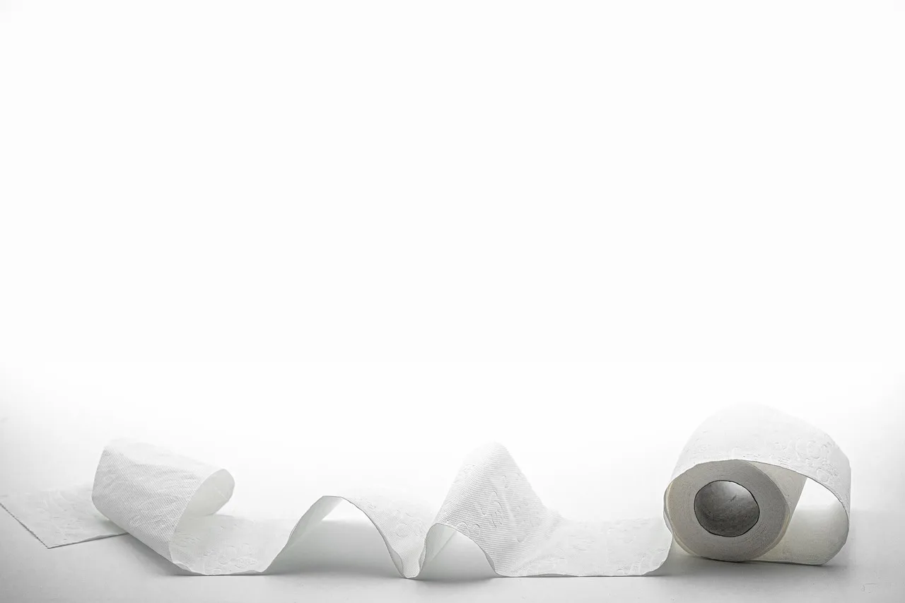 toilet paper, cleaning, hygiene, texture, soft, toilet, toilet paper, toilet paper, toilet paper, toilet paper, toilet paper, toilet. A five-place compliance audit for portable restroom rental