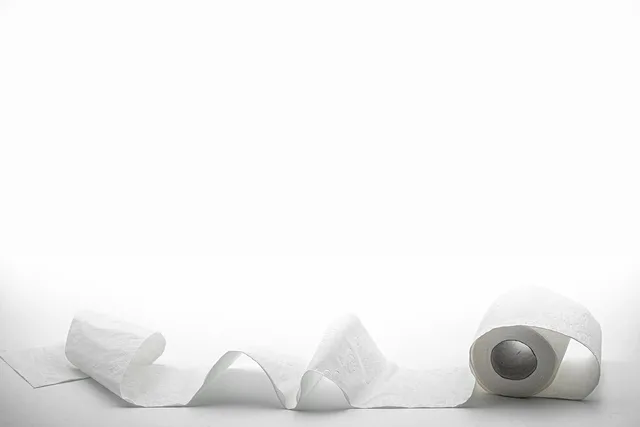 toilet paper, cleaning, hygiene, texture, soft, toilet, toilet paper, toilet paper, toilet paper, toilet paper, toilet paper, toilet. A five-place compliance audit for portable restroom rental