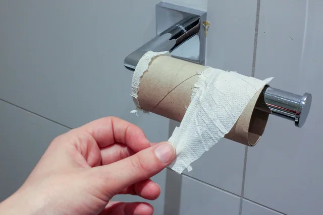 toilet paper, hamster purchases, panic, don't panic, fear, corona, schreck, coronavirus, virus, hygiene, toilet, empty, toilet paper, toilet paper, toilet paper, toilet paper, toilet paper, toilet. Portable restroom rental stop survey: ten access checks