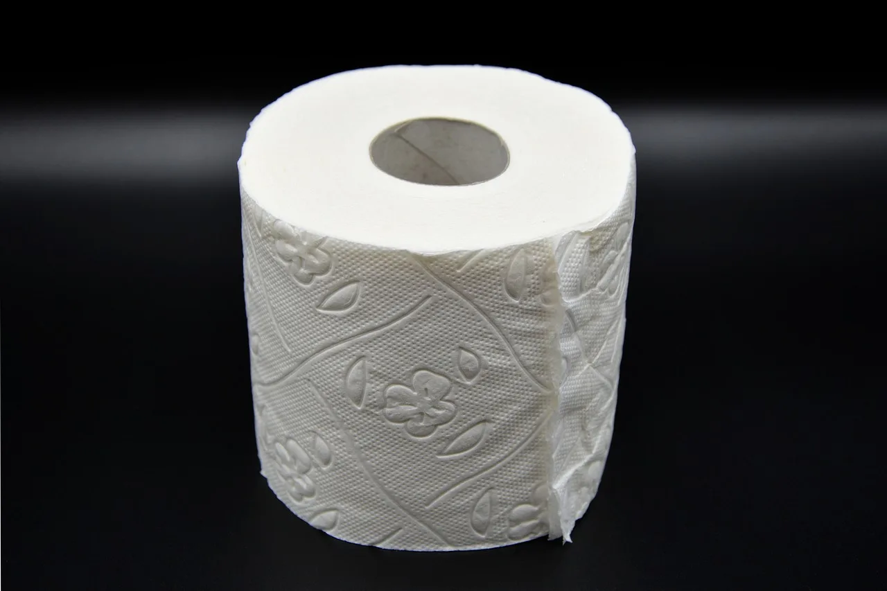 toilet paper, hygiene, loo, role, wc, toilet, paper, corona, virus, sanitary, lockdown, toilet paper, toilet paper, toilet paper, toilet paper, toilet paper. Portable restroom stop records: what to write, sign and review