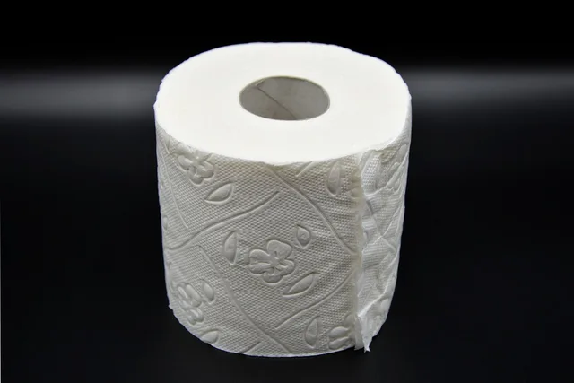 toilet paper, hygiene, loo, role, wc, toilet, paper, corona, virus, sanitary, lockdown, toilet paper, toilet paper, toilet paper, toilet paper, toilet paper. Portable restroom stop records: what to write, sign and review