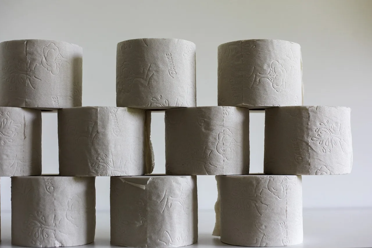 toilet paper, hygiene, toilet, role, loo, paper, nature, wc, leaf, paper roll, roll, hamster purchases. Portable restroom rental stock and supplier guide