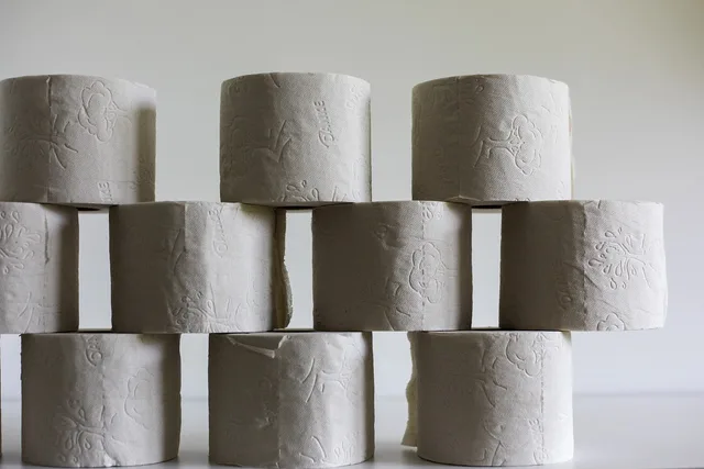 toilet paper, hygiene, toilet, role, loo, paper, nature, wc, leaf, paper roll, roll, hamster purchases. Portable restroom rental stock and supplier guide