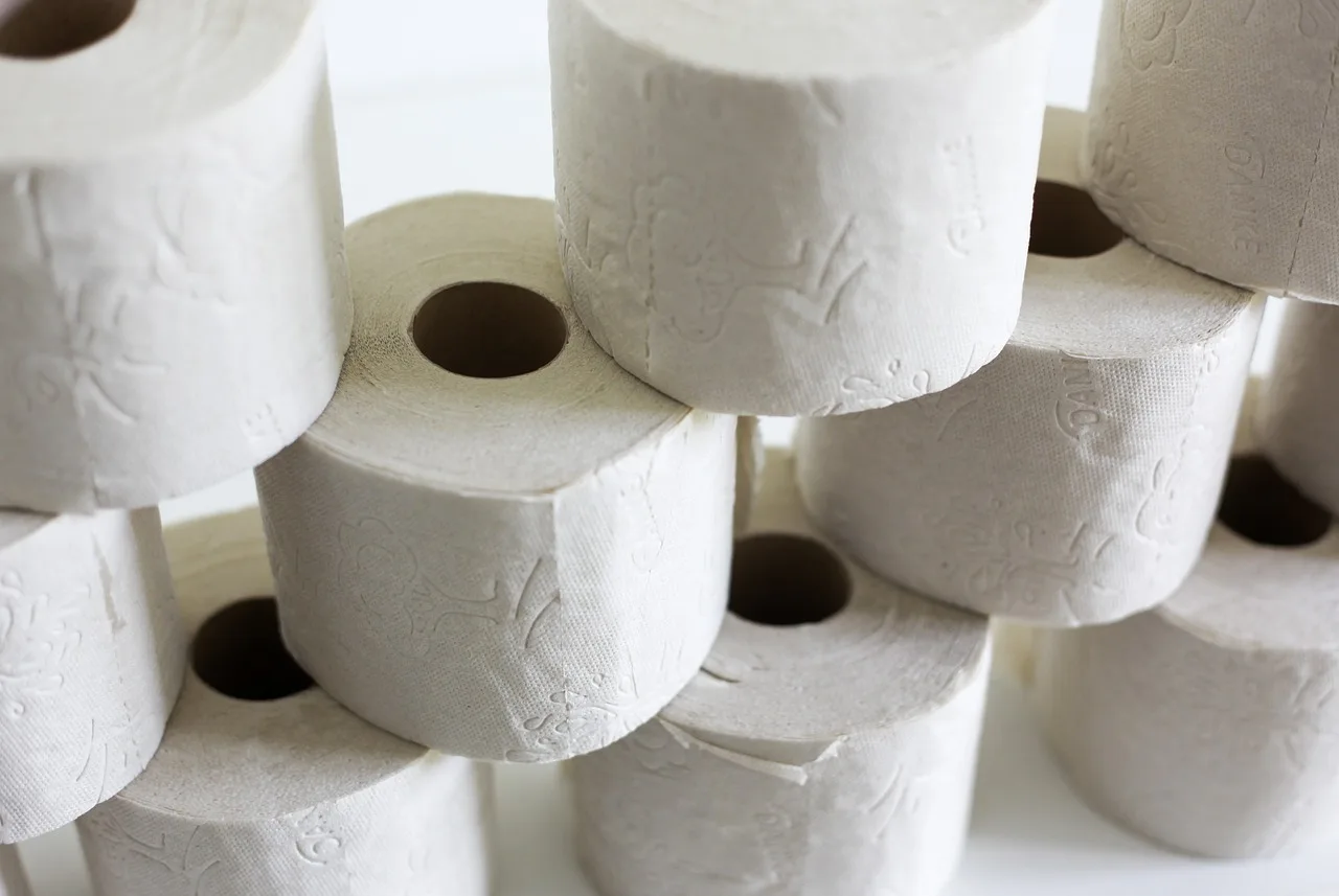 toilet paper, stack, hygiene, toilet, role, loo, paper, wc, corona, hamster purchases, toilet paper, toilet paper, toilet paper, toilet paper, toilet paper. Portable restroom rental fleet stock control: reconcile three lists and four states