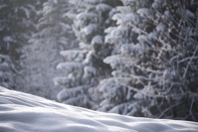 snow, winter, wintry, new zealand, nature, powder snow, winter landscape, cold, winter forest, landscape. Winterizing portable restrooms from Anchorage to Chicago